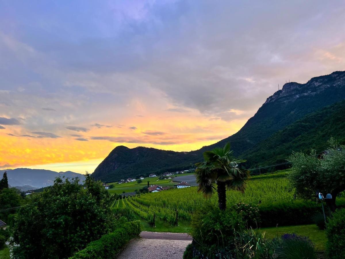 Strahlerhof Apartment อัปเปียโน ซุลลา สตราดา เดล วีโน ภายนอก รูปภาพ