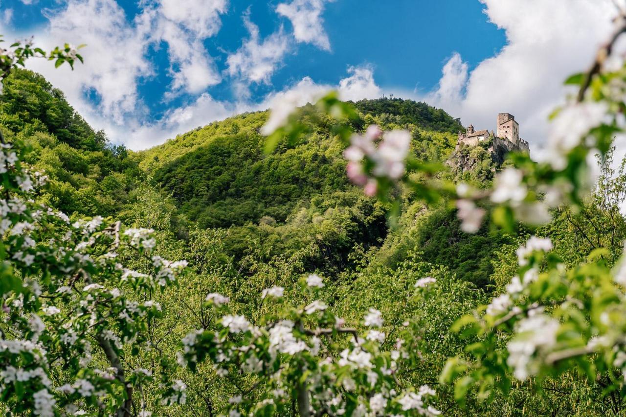 Strahlerhof Apartment อัปเปียโน ซุลลา สตราดา เดล วีโน ภายนอก รูปภาพ
